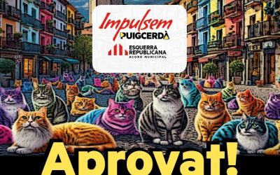 PROPOSTA DE MOCIÓ- Servei Municipal de Gestió Ètica de Colònies Felines a Puigcerdà