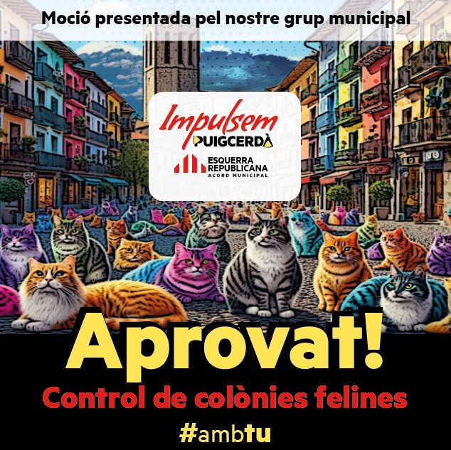 PROPOSTA DE MOCIÓ- Servei Municipal de Gestió Ètica de Colònies Felines a Puigcerdà