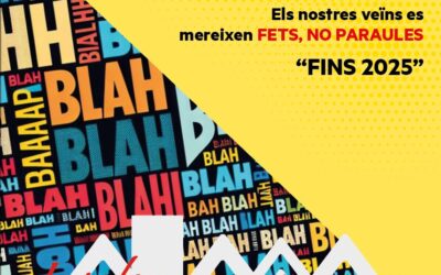 El Ple. Respostes insuficients del Govern municipal