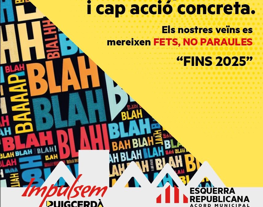 El Ple. Respostes insuficients del Govern municipal